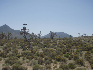 Car to Grand Canyon from Las Vegas